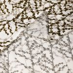 Штапель 90 г/м², 145 см / 2 метра, TBY Vi-E1326-4 цв.E1326-4