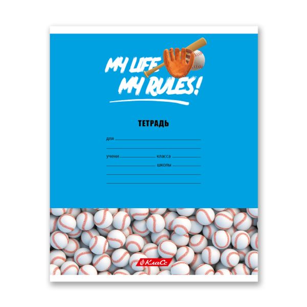 Тетрадь ученическая школьная A5+ 24 л. на скобе, белизна 100% 30 шт, клетка, 000372 Мячики, Светоч 24ТСКд5_1_3_1