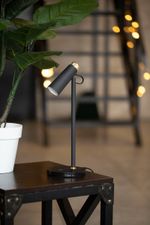 Лампа настольная, Ferstel FR-44