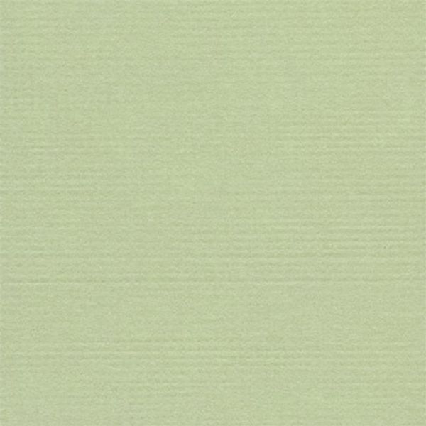 Бумага для скрапбукинга 216 гр/м², 30.5х30.5 см, 10 шт, 44 Фисташковое мороженое (бл. зеленый), Mr.Painter PST