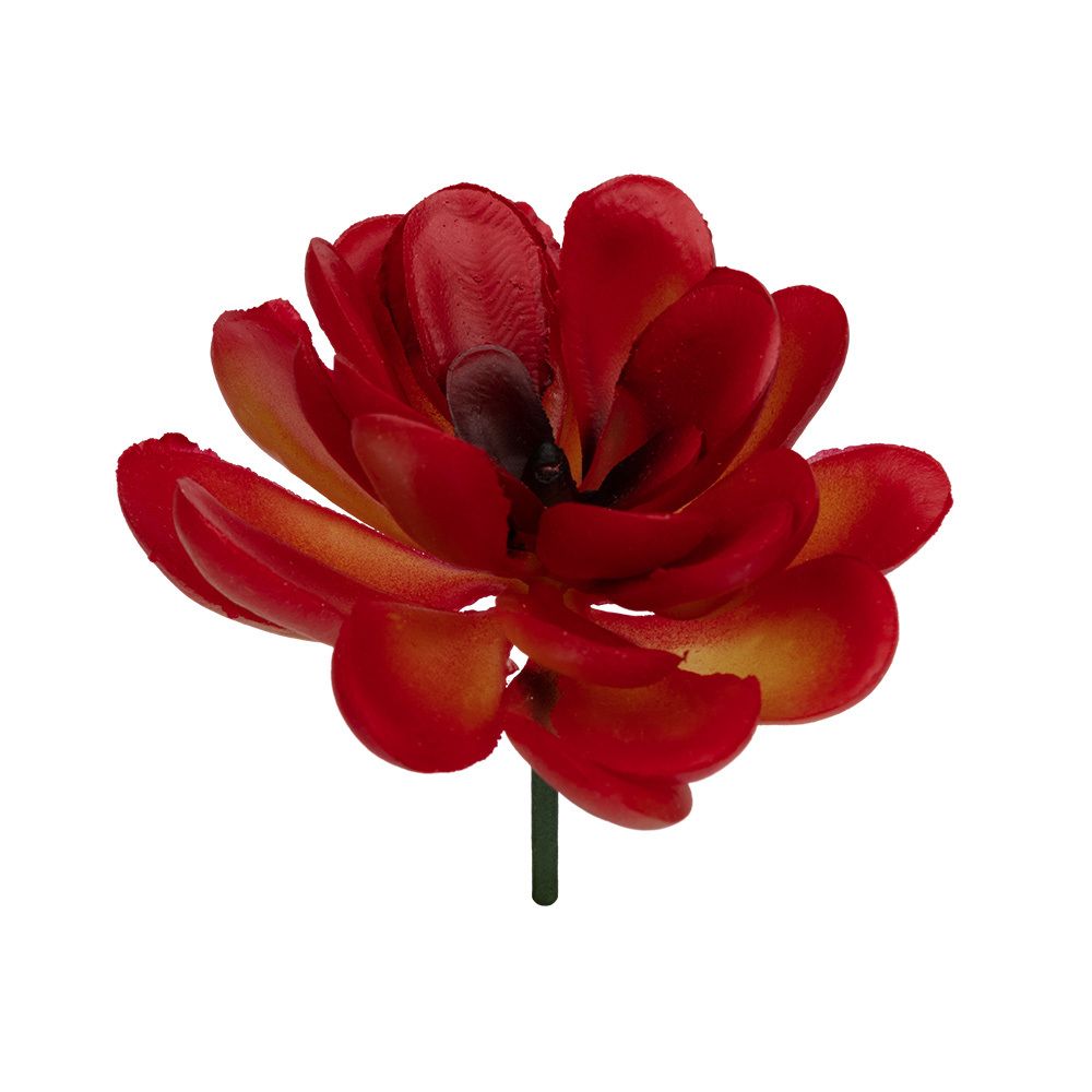 Суккуленты декоративные, 1 шт, 01, Blumentag ASU-10