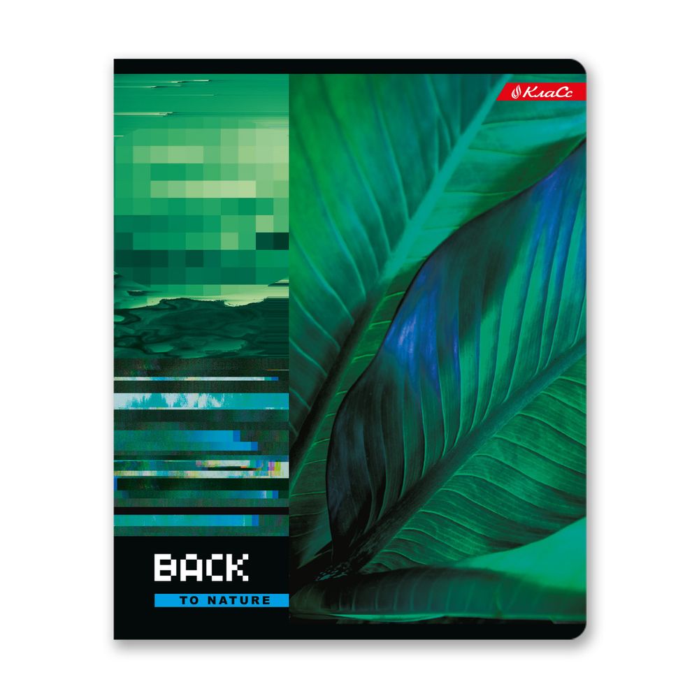 Тетрадь ученическая общая, A5+ 48 л. на скобе 65 г/м², белизна 100%, 10 шт, линия в термоусадочной пленке, 000332 Мгновения, Светоч 48ТСК5_1_3_2