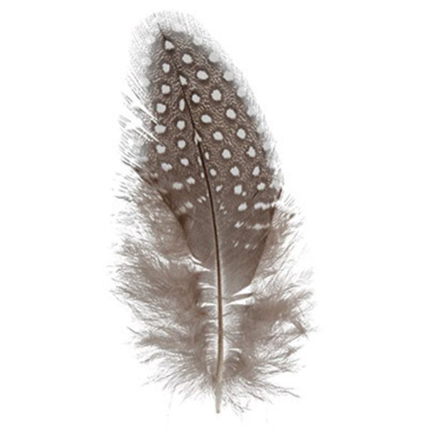 Перья декоративные 4-6 см, 5х3 г,±0.5 г, 03 белый/ черный, Mr.Painter