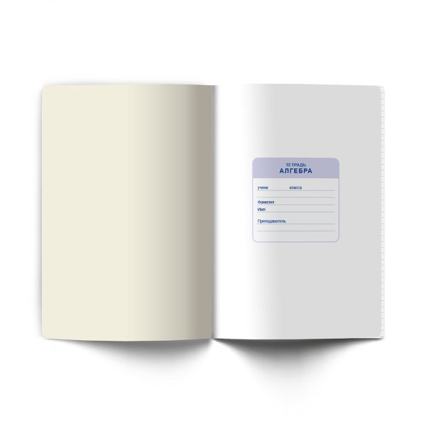 Тетрадь со справочным материалом На задней парте, выбор.лак, A5+ 48 л. на скобе 65 г/м², белизна 100 %, 10 шт, клетка, 01298 На задней парте Алгебра, Светоч Т141