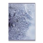 Тетрадь ученическая общая, A4 96 л. на скобе 65 г/м², белизна 100 %, 6 шт, клетка, 01351 Утренняя роса, Светоч Т156