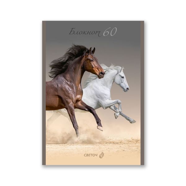 Блокнот на скобе, A5 60 л. 12 шт клетка, Скорость и грация 01742, Б263 Светоч