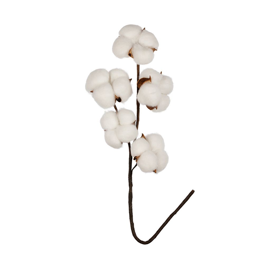 Декоративные элементы, 5 шт, 40 см, 01 веточка хлопка, Blumentag CTW-02