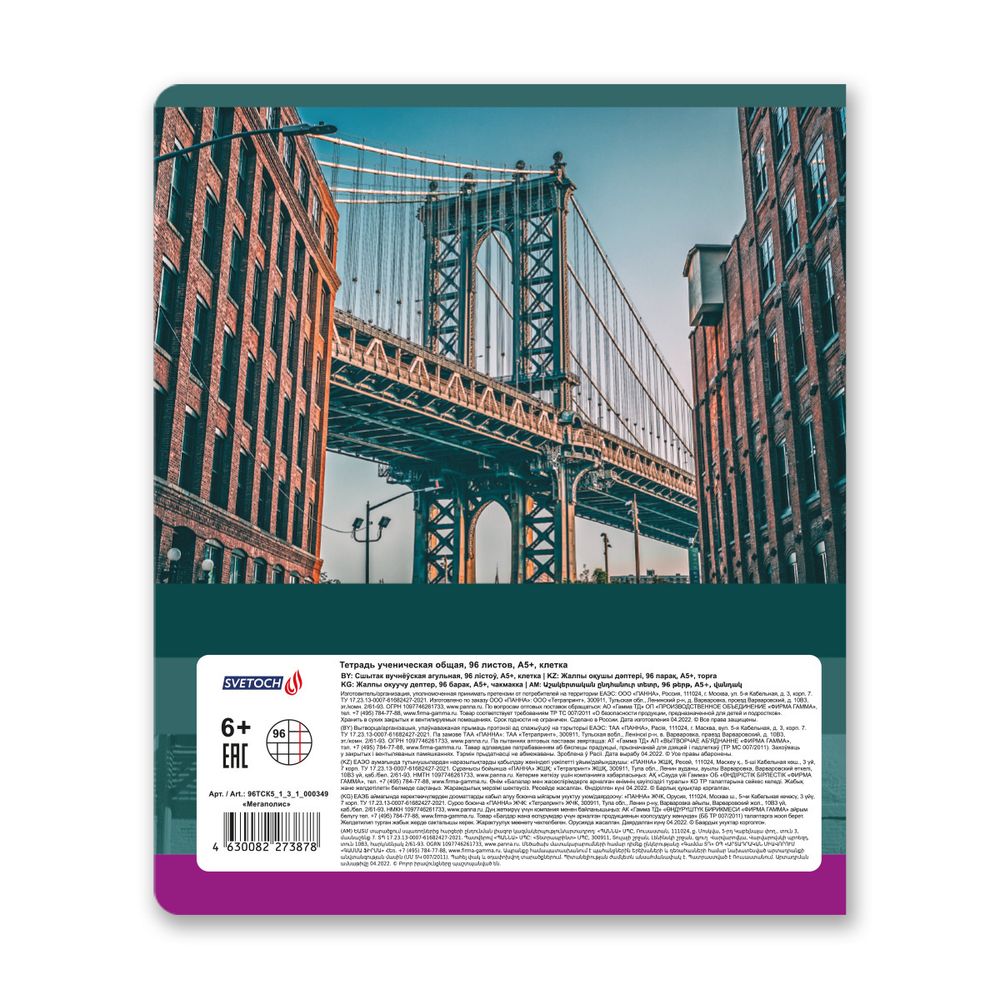 Тетрадь ученическая общая, A5+ 96 л. на скобе, белизна 100%, 5 шт, клетка, 000349 Мегаполис, Светоч 96ТСК5_1_3_1