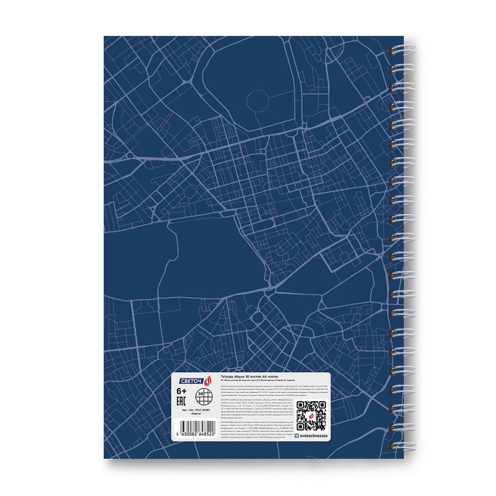 Тетрадь общая с твердой обложкой, матовая ламинация A4 80 л. на гребне 65 г/м², белизна 100% 2 шт клетка, 01569 Карта, Светоч Т217