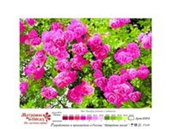 Рисунок на шелке Матренин Посад 37х49 - 4084 Куст красной розы