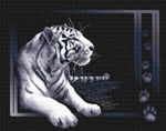 Набор для вышивания нитками Panna, белый тигр, 40х32 см