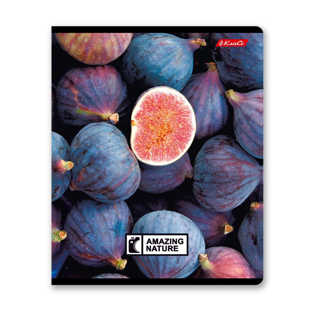 Тетрадь ученическая общая, твин лак, A5+ 60 л. на скобе 65 г/м², белизна 100%, 10 шт, клетка в термоусадочной пленке, 000477 Биосфера, Светоч 60ТСК5_8_2_1