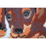 Набор для вышивания бисером Hobby&Pro, Два щенка, 30х23 см