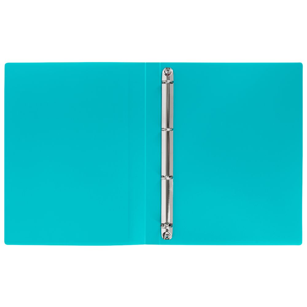 Папка-портфолио школьника на 4 кольцах A4 700 мкм 25 мм, песок, 1 шт, бирюзовый LNKP-022, Лео