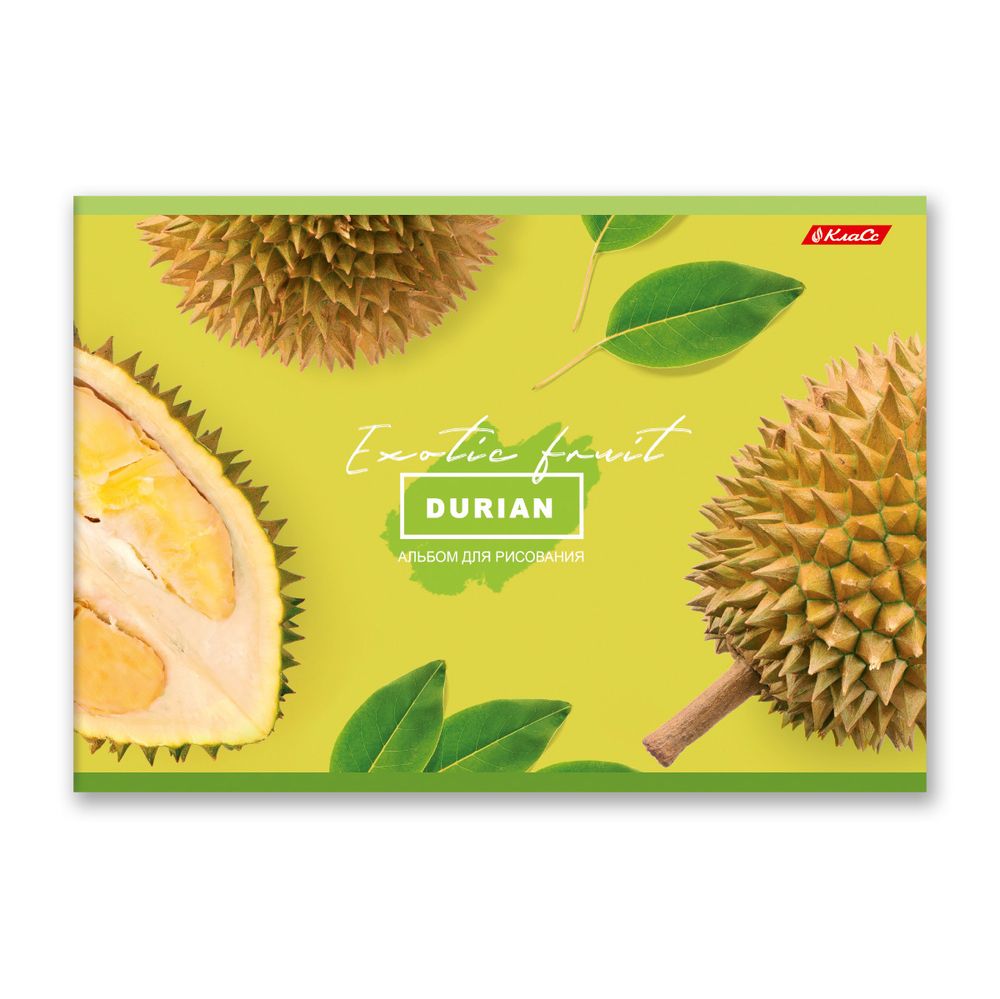 Альбом для рисования 100 г/м², A4 29х20.5 см, 48 л. на скобе, 5 шт, 000265 Сочный фрукт, Светоч 48АЛСК4_1_3_9