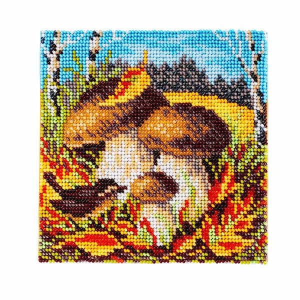 Набор для вышивания бисером Кроше (Радуга бисера) Т30_5206, Боровики 14х14см