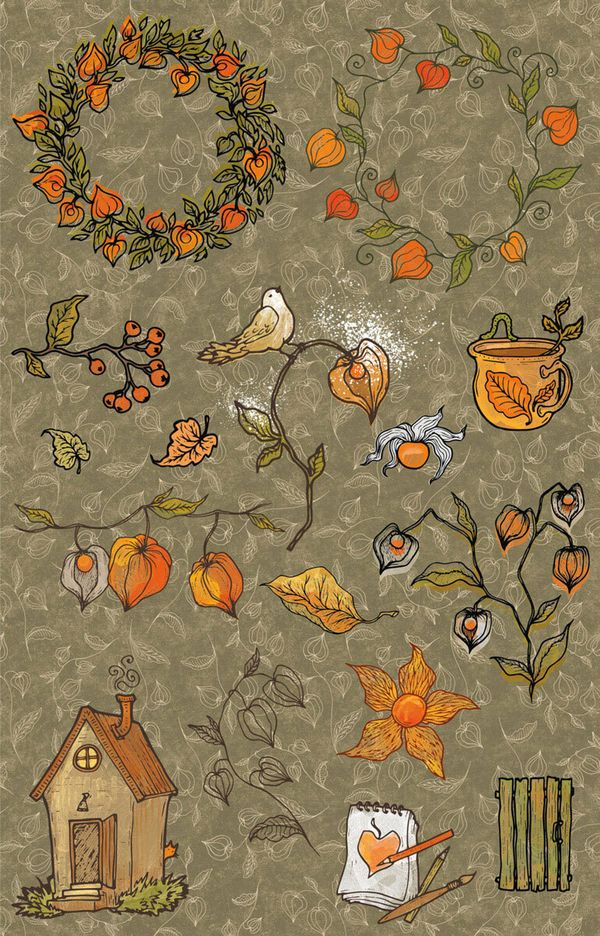 Бумага рисовая 32х22 см, 0089 Физалис, Love2art KPR/R