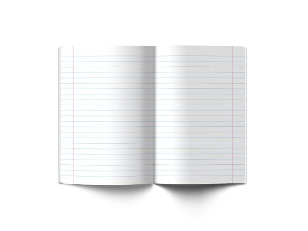 Комплект тетрадей со справоч.материал. Полёт идей, 10 шт, в комплекте, A5+ 48 л., 10 шт, на скобе 60 г/м², белизна 90 %, клетка/линия, 000582 10 предметов, Светоч 48КТПСКп5_0_2