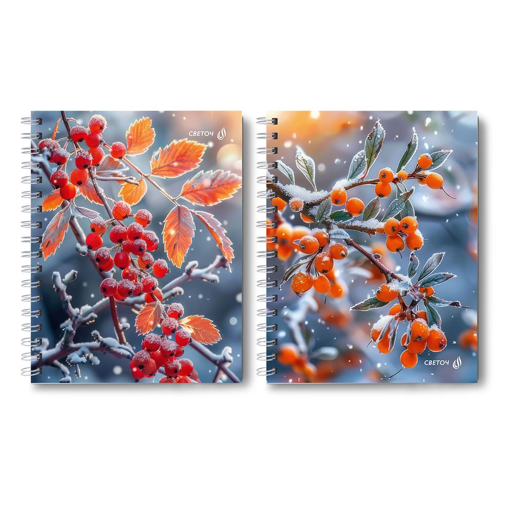 Тетрадь общая с твердой обложкой, матовая ламинация + выборочный лак A5 96 л. на гребне 65 г/м², белизна 100% 4 шт клетка, 01555 Зимняя ягода, Светоч Т211