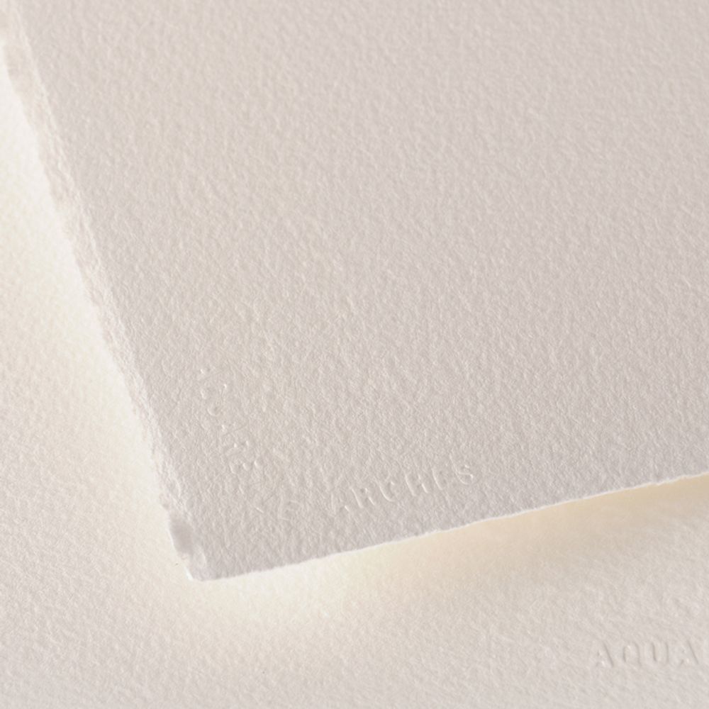 Бумага для акварели RG Watercolour Rough 100% хлопок 300 г/м², 76х56 см, 10 шт, крупнозернистая, Arches A1795048
