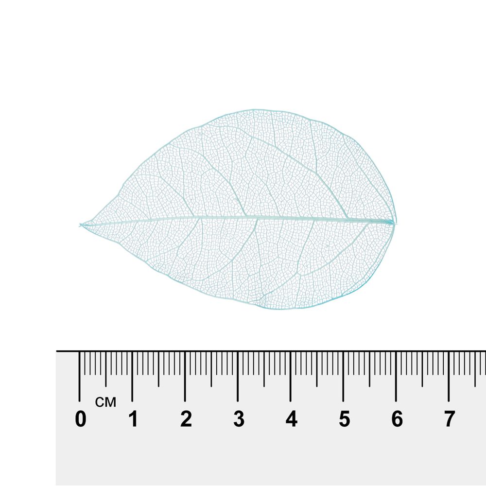 Листья скелетированные 2-6 см, 50 шт (5х10 шт), 05 голубой, Mr.Painter SFL-01