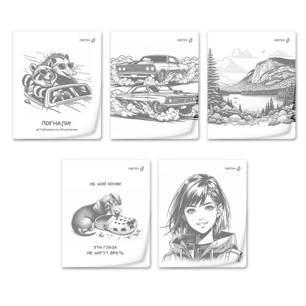 Тетрадь общая с пластик.обложкой 180 мкм, ч/б запечат. титульн.лист, A5 48 л. на скобе 65 г/м², белизна 100% 10 шт клетка, 01495 МИКС - Чёрно-белый мир, Светоч Т196