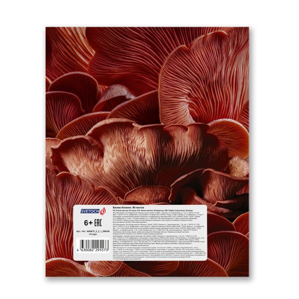 Бизнес-блокнот, матовая ламинация, A5+ 80 л. 18 шт, клетка, Fungi 000439, Светоч 80ББТ5_2_5_1