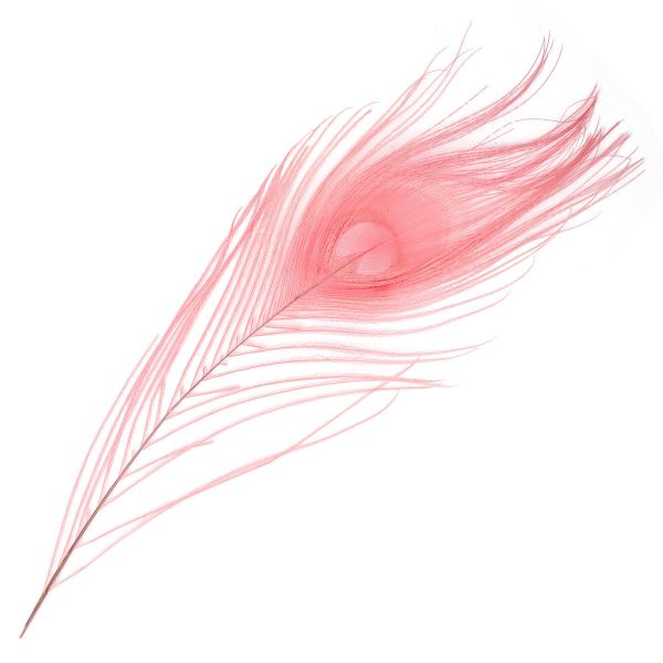 Перо павлина декоративное 25-30см, 10 штук (розовый), AR204-2