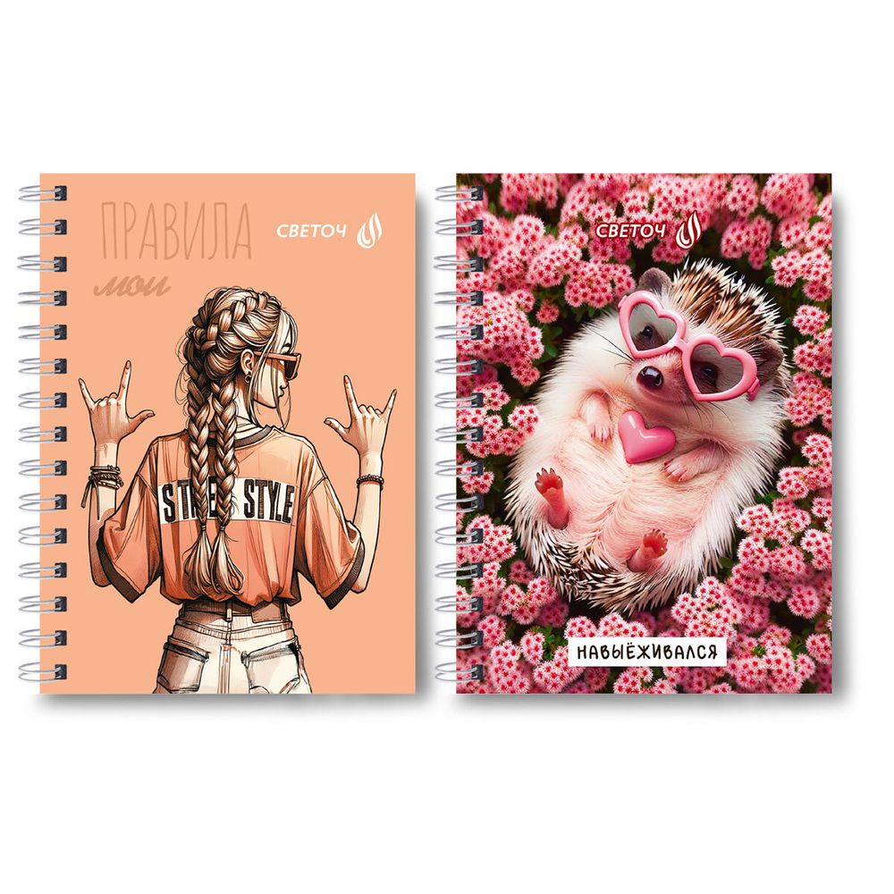 Записная книжка на гребне A6 120 л., 4 шт, клетка, Мои правила 01182, Светоч ЗК110