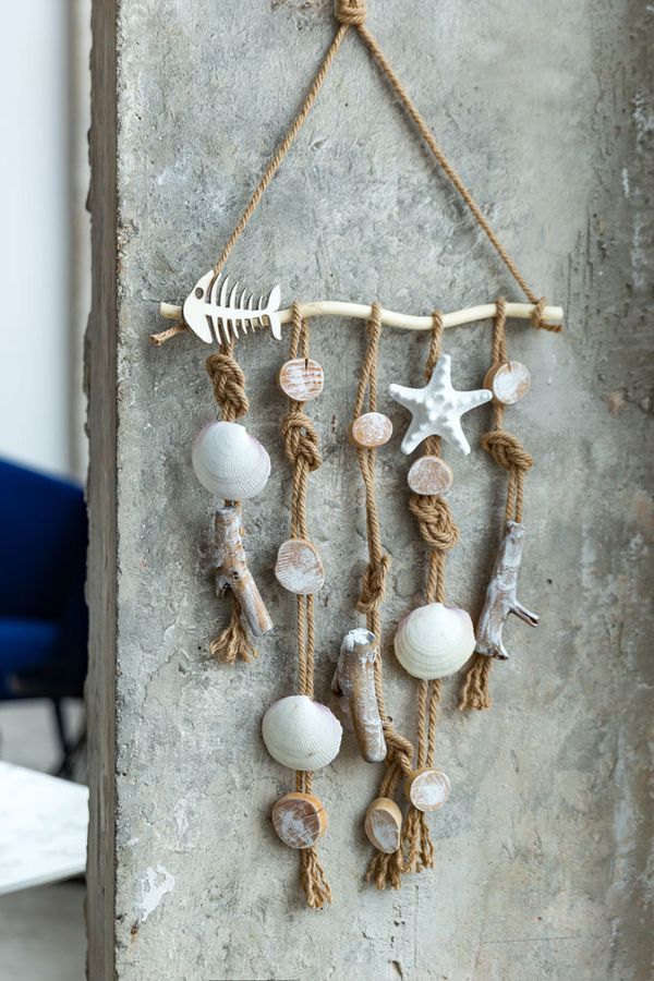 Ракушки декоративные, 3 шт, 8.2 см, Codakia Tigrina, Zlatka DRF-001