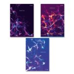 Тетрадь ученическая общая, A4 96 л. на скобе 65 г/м², белизна 100%, 6 шт, клетка, 000469 Электросила, Светоч 96ТСК4_0_2_1