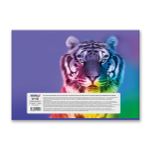 Альбом для рисования 100 г/м², A4 29х20.5 см, 48 л. на скобе, 5 шт, 000268 Большие кошки, Светоч 48АЛСК4_1_3_9