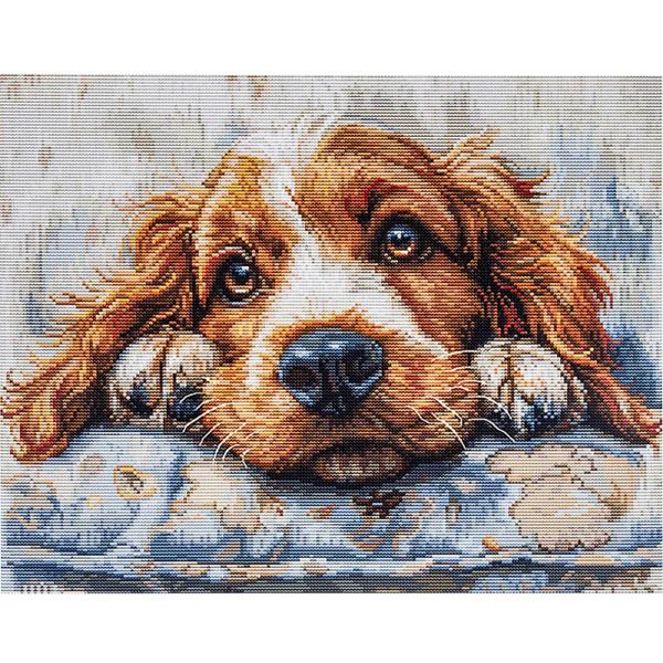 Набор для вышивания нитками, Luca-S, BU5058 Кокер-спаниель 32х25см