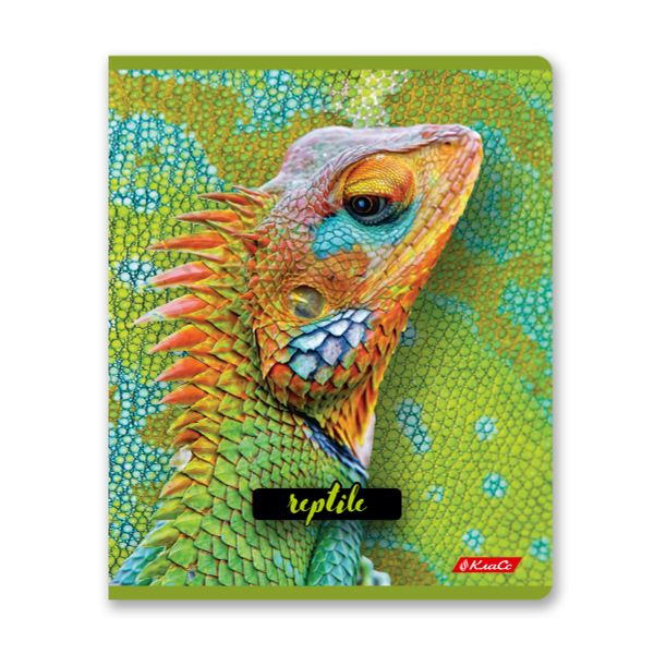 Тетрадь ученическая общая, твин лак, A5+ 80 л. на скобе 65 г/м², белизна 100%, 5 шт, клетка в термоусадочной пленке, 000487 Рептилии, Светоч 80ТСК5_8_2_1