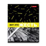 Тетрадь ученическая общая, твин лак, A5+ 60 л. на скобе 65 г/м², белизна 100%, 10 шт, клетка в термоусадочной пленке, 000480 Жесть, Светоч 60ТСК5_8_2_1