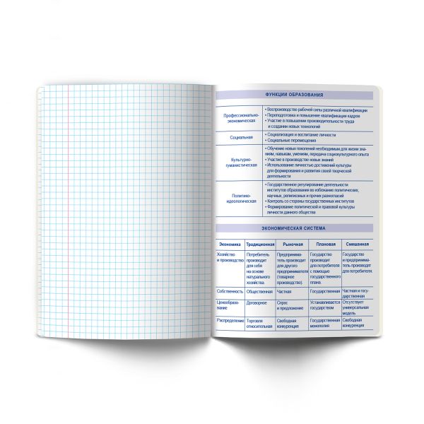 Тетрадь со справочным материалом На задней парте, выбор.лак, A5+ 48 л. на скобе 65 г/м², белизна 100 %, 10 шт, клетка, 01309 На задней парте Обществознание, Светоч Т141