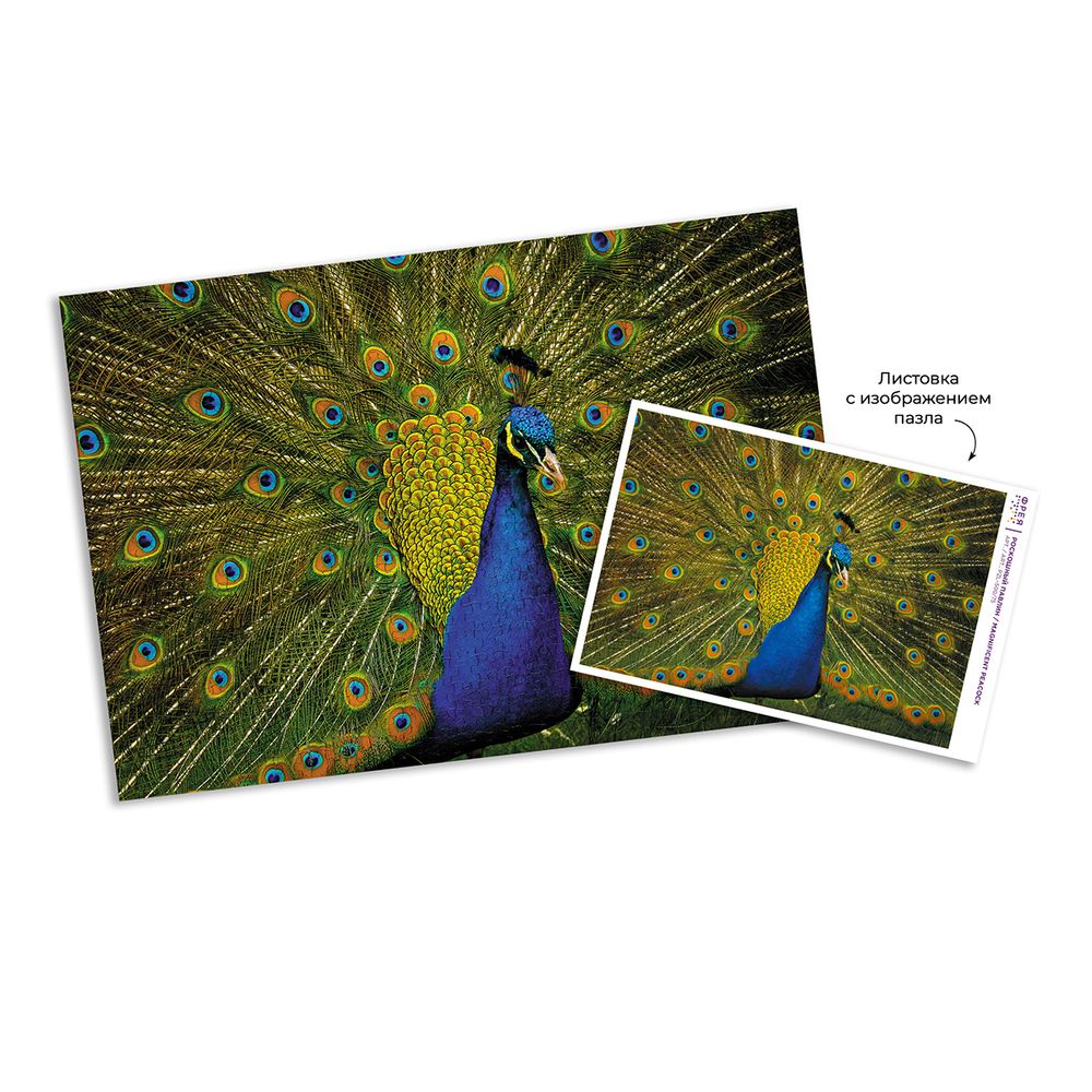 Пазл 500 элементов, PZL-500/75 Роскошный павлин, Фрея