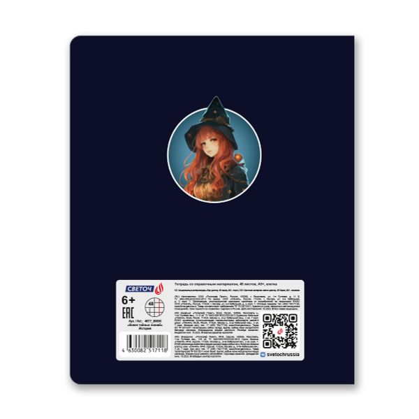 Тетрадь со справочным материалом Ковен тайных знаний, A5+ 48 л. на скобе 65 г/м², белизна 100%, 10 шт, клетка, 00856 История, Светоч 48Т7