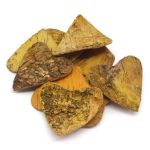 Декоративные элементы из коры дерева Сердце, 5см, 10 шт (желтый) YW025