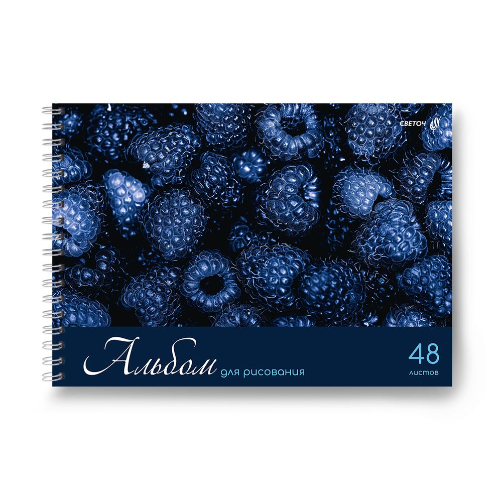 Альбом для рисования 100 г/м², A4 29.5х21 см, 5 шт на гребне 48 л, 01622 Ярко - синий мир, Светоч А234