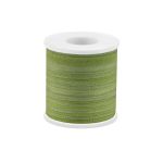 Лента (тесьма) шелковая 4.0 мм / 45.5±0.5 метров, M041 св.зеленый/зеленый, Gamma SRM-4