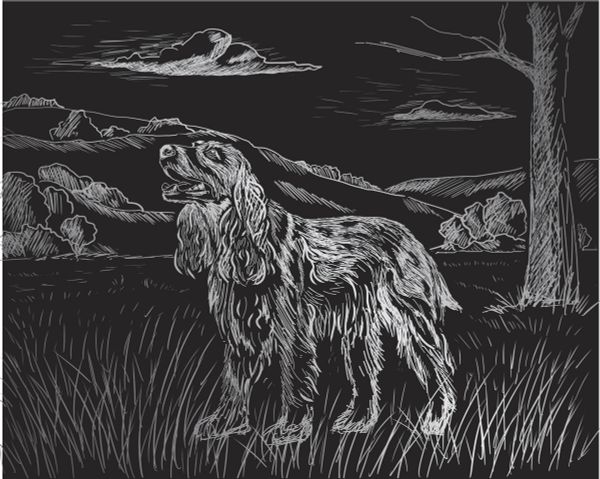 Набор для творчества Гравюра 20х25.5 см, №44 Спаниель (серебро), Hobbius SGHK