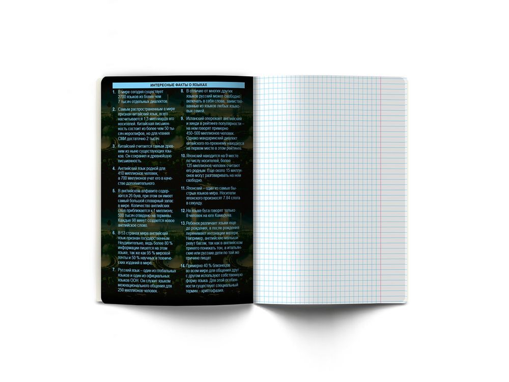 Тетрадь со справочным материалом Эволюция, глянцевая ламинация, A5+ 48 л. на скобе 65 г/м², белизна 100%, 10 шт, клетка, 00888 Иностранный язык, Светоч 48Т5