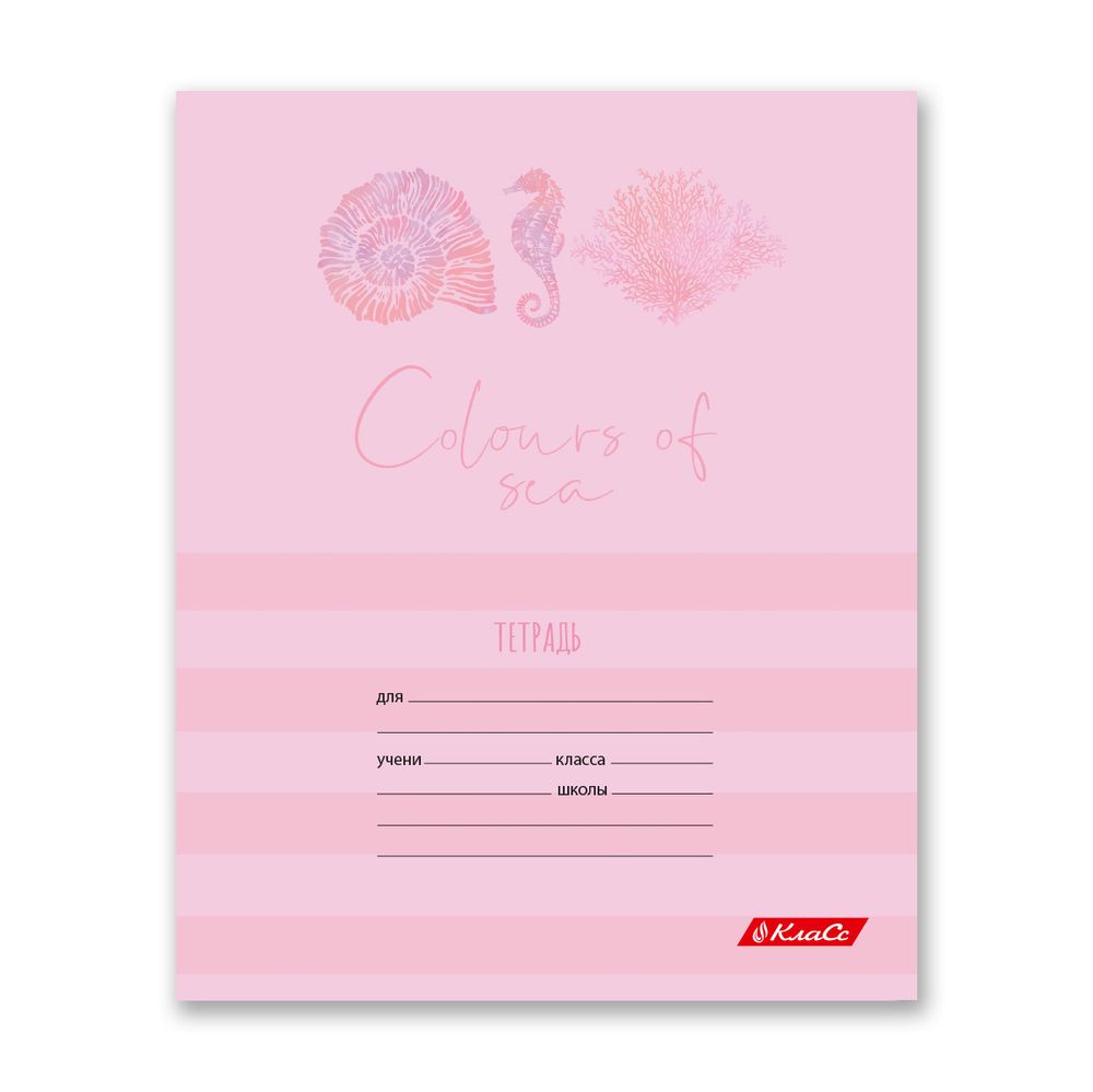 Тетрадь ученическая школьная A5+ 24 л. на скобе 65 г/м², белизна 100% 30 шт, клетка, 000375 Океания, Светоч 24ТСКд5_1_3_1