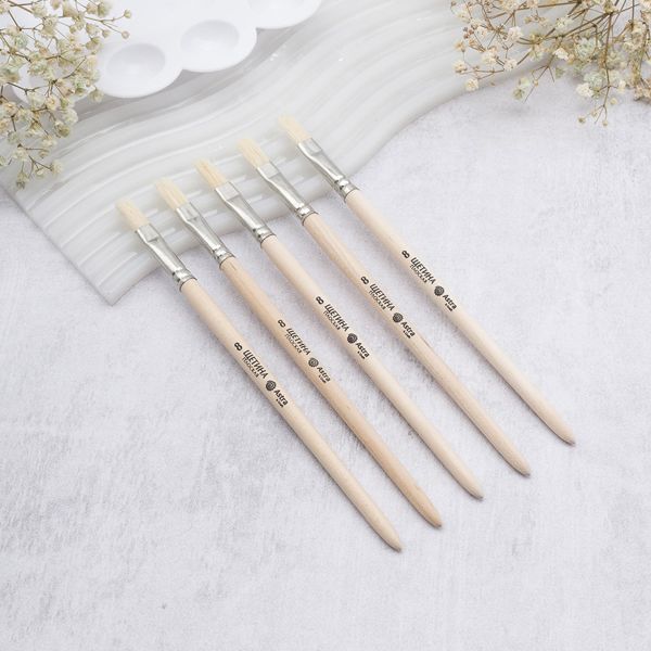 Кисть школьная, щетина, плоская №8, 5 шт, Astra&Craft