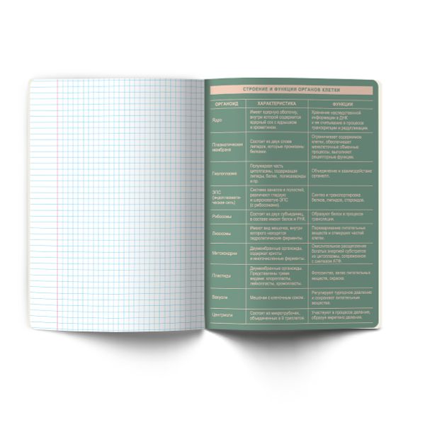Тетрадь со справочным материалом Лёгким почерком, софт-тач ламинация, A5 48 л. на скобе 65 г/м², белизна 100% 10 шт, клетка, 01837 Лёгким почерком Биология, Светоч Т284