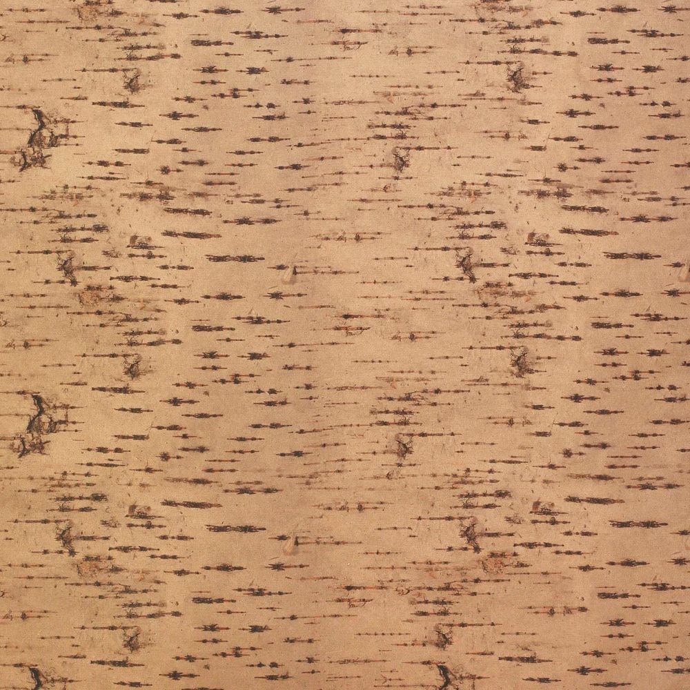 Крафт бумага Кора березы, 50х70 см, 20 шт /TOS/