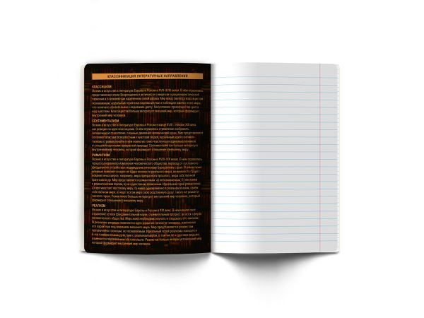 Тетрадь со справочным материалом Эволюция, глянцевая ламинация, A5+ 48 л. на скобе 65 г/м², белизна 100%, 10 шт, линия, 00881 Литература, Светоч 48Т4