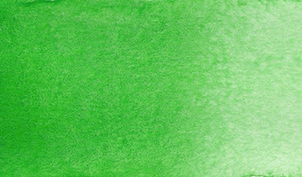 Краска акварель художественная, кювета 2.5 мл, 623 зеленая Хукера, Vista-Artista VAW