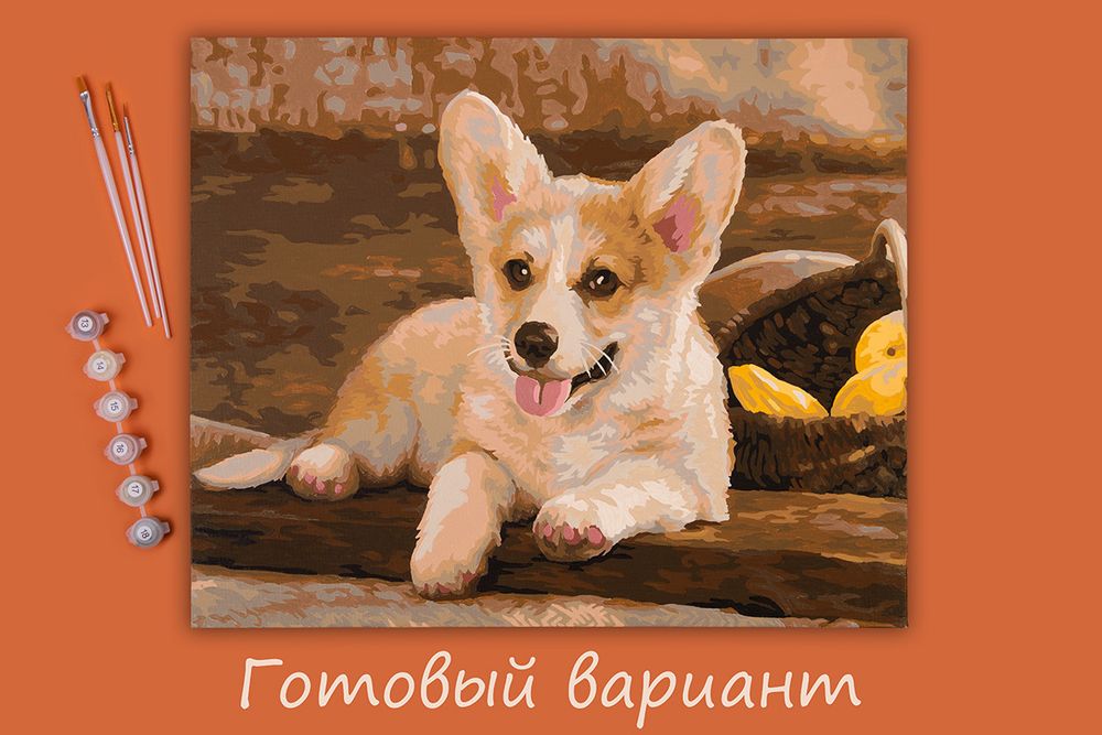 Картина по номерам Фрея, Вельш-Корги, 40х50 см
